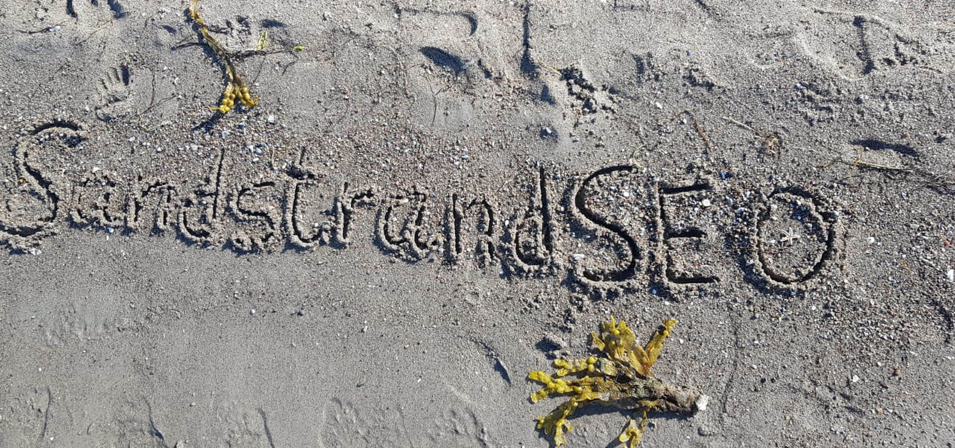 SandstrandSEO Alge