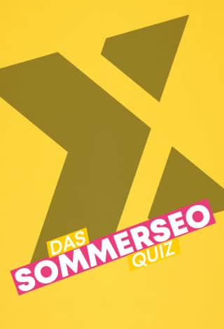 SommerSEO Quiz Teaser